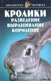 Кролики: Разведение, выращивание, кормление