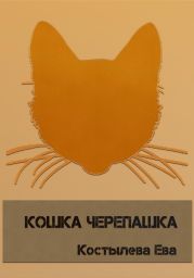 Кошка черепашка