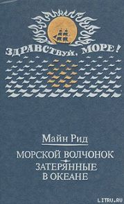 Морской волчонок (с иллюстрациями)