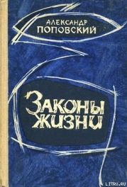 Пути, которые мы избираем