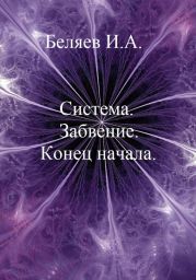 Система. Завоевание. Конец начала. Книга первая. Цикл «Икосаэдр. Бронзовый аддон»