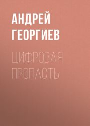 Цифровая пропасть