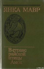 В стране райской птицы