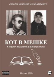 Кот в мешке. Сборник рассказов