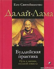 Буддийская практика. Путь к жизни полной смысла