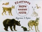 Звери наших лесов