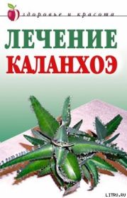 Лечение каланхоэ