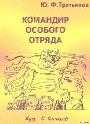 Командир особого отряда. Повести и рассказы