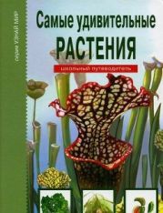 Самые удивительные растения. Школьный путеводитель