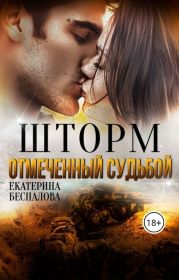 Шторм. Отмеченный Судьбой