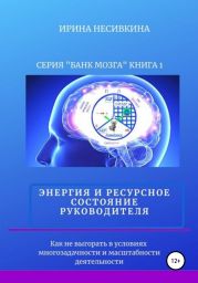 Серия «БАНК МОЗГА». Книга 1. Энергия и ресурсное состояние руководителя. Как не выгорать в условиях многозадачности и масштабности деятельности