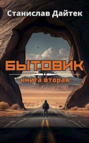 Бытовик. Книга вторая