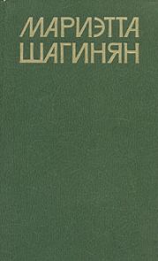 Приключение дамы из общества