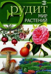 Мир растений