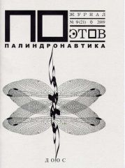 Палиндронавтика (выпуск №9, 2009 г.)