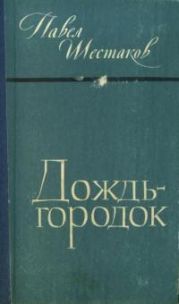 Дождь-городок