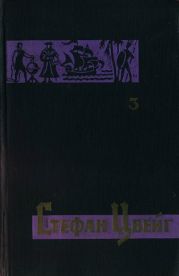 Том 3. Звездные часы человечества. Магеллан. Америго.