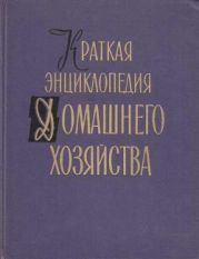 Краткая энциклопедия домашнего хозяйства. Том 1. Буквы А - Н.