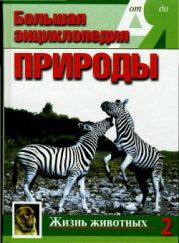 Т. 2. Жизнь животных К-П