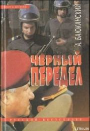 Черный передел. Книга II