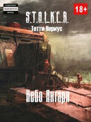 S.T.A.L.K.E.R. Небо Янтаря