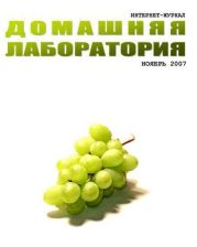 Интернет-журнал Домашняя лаборатория, 2007 №11