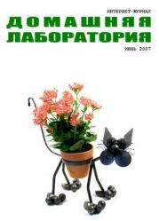 Интернет-журнал Домашняя лаборатория, 2007 №6