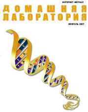 Интернет-журнал Домашняя лаборатория, 2007 №2