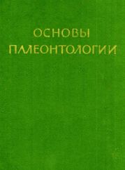 Водоросли, мохообразные, псилофитовые, плауновидные, членистостебельные, папоротники