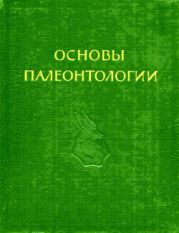 Иглокожие, гемихордовые, погонофоры и щетинкочелюстные