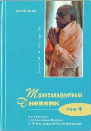 Трансцендентный дневник 4