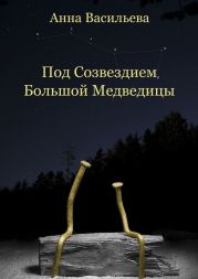 Под созвездием Большой Медведицы