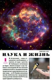 Журнал Наука и Жизнь 2009 №1