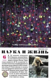 Журнал Наука и Жизнь 2008 №6