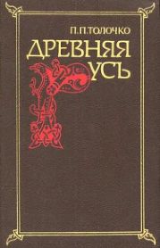 Древняя Русь. Очерки социально-политической истории