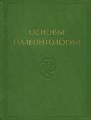 Губки, археоциаты, кишечнополостные, черви