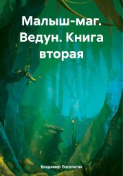 Малыш-маг. Ведун. Книга вторая