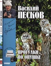 Полное собрание сочинений. Том 22. Прогулки по опушке