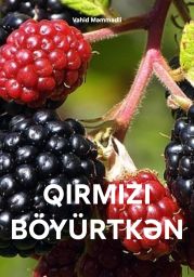 QIRMIZI B?Y?RTK?N