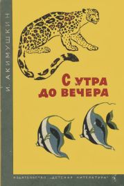 С утра и до вечера