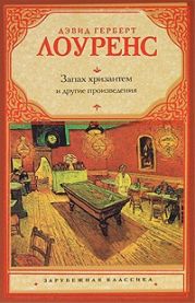 Тень в розовом саду