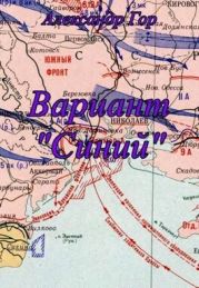 Вариант Синий