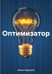 Оптимизатор