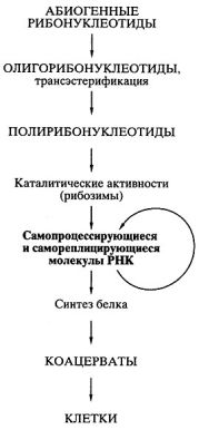 Биосинтез белков, мир РНК и происхождение жизни