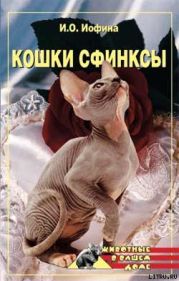 Кошки - сфинксы