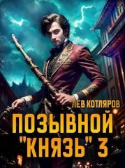 Позывной Князь 3