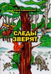 Следы зверят