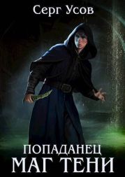Попаданец. Маг Тени. Книга 8