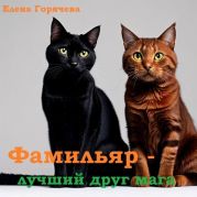 Фамильяр - лучший друг мага