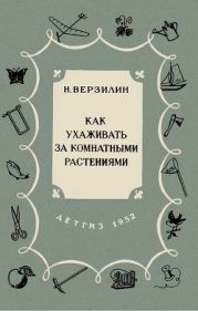 Как ухаживать за комнатными растениями